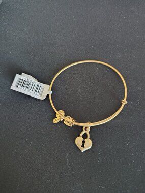 💗  Alex and Ani Heart Key to Love 💗Bangle New 828